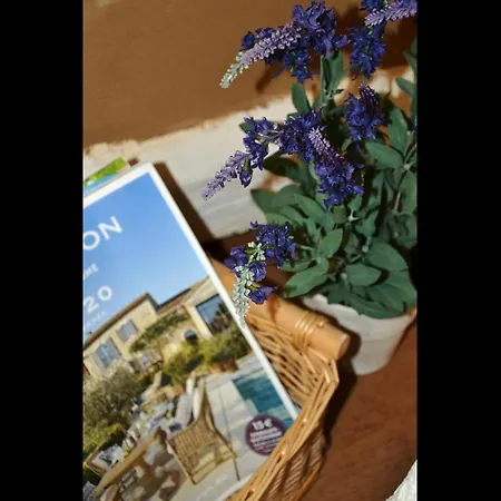 Neu! Romantique * Радебойль