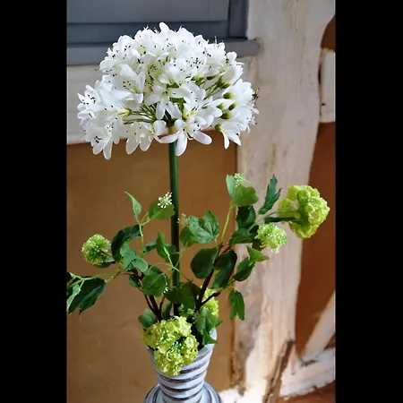 Apartman Neu! Romantique Radebeul