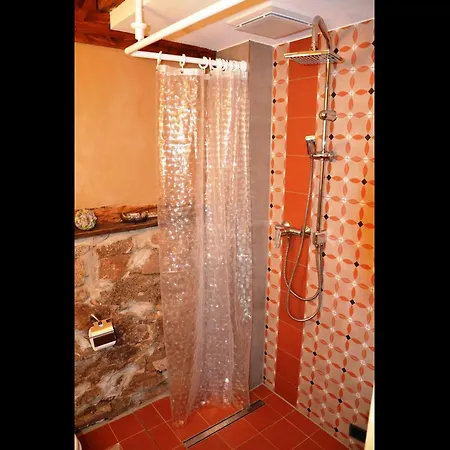 Neu! Romantique Радебойль