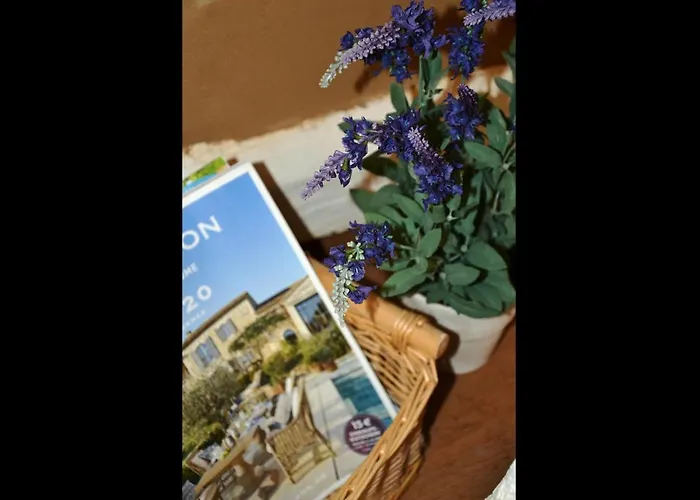 Neu! Romantique * راديبول