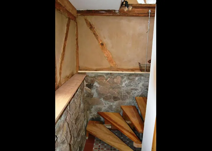 Neu! Romantique * راديبول