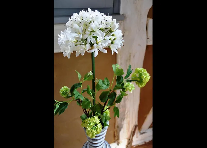 شقة Neu! Romantique راديبول